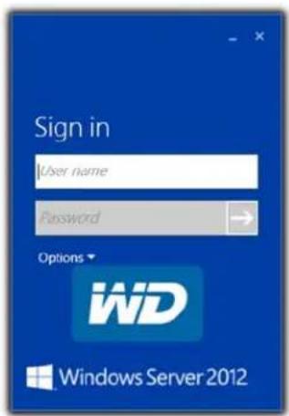 WESTERN DIGITAL Sentinel DS6100 - ToaccesstheLaunchpad(Windows): - 2