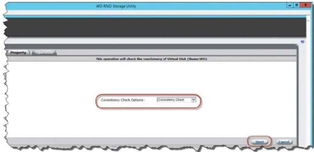 WESTERN DIGITAL Sentinel DS6100 - ConsistencyCheck - 3