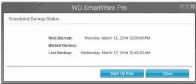 WESTERN DIGITAL My Book Duo WDBLWE0160JCH - Backing Up Files - 13