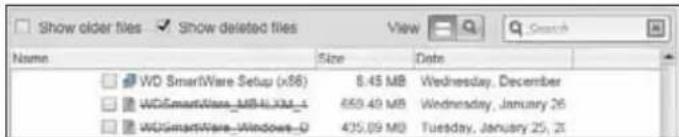 WESTERN DIGITAL My Book Duo WDBLWE0160JCH - IF you have ... THEN the WD SmartWare software displays the ... - 6