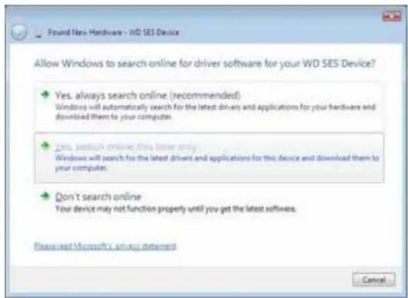WESTERN DIGITAL My Book Duo WDBLWE0160JCH - Installing the Driver Manually - 2