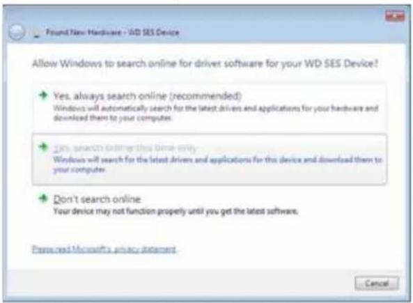 WESTERN DIGITAL My Book Duo WDBLWE0160JCH - Installing the Driver Automatically - 2