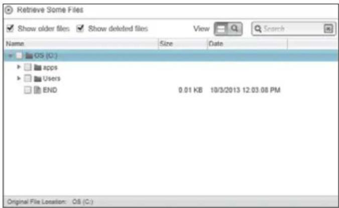 WESTERN DIGITAL My Book Duo WDBLWE0160JCH - Retrieve Tab Displays - 2