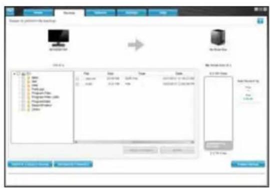 WESTERN DIGITAL My Book Duo WDBLWE0160JCH - Backup Tab Displays - 2