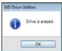 WESTERN DIGITAL My Book Duo WDBLWE0160JCH - Using Five Invalid Passwords - 5