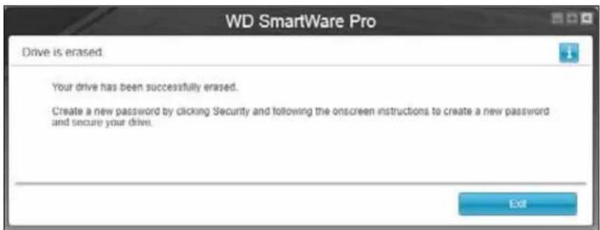 WESTERN DIGITAL My Book Duo WDBLWE0160JCH - Using Five Invalid Passwords - 6