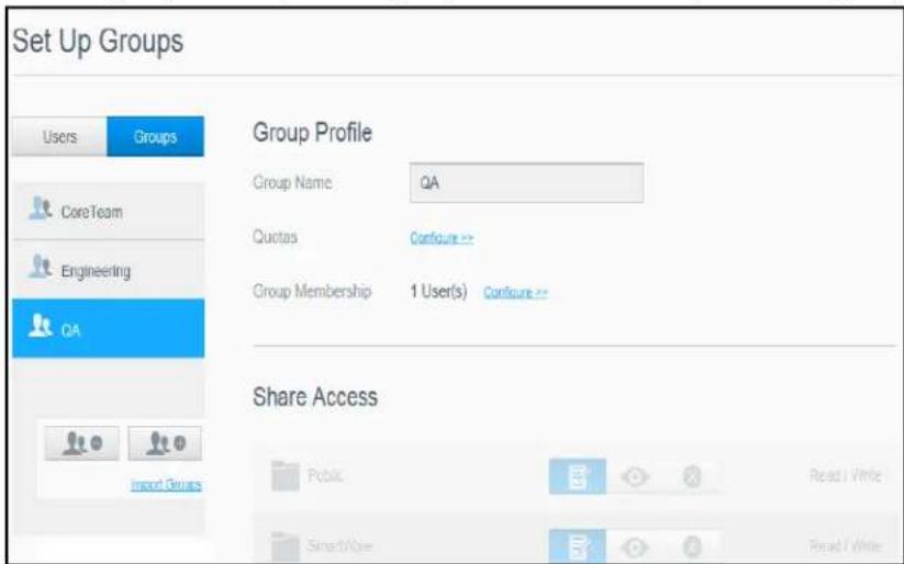 WESTERN DIGITAL My Cloud Mirror WDBWVZ0160JWT - Viewing Groups - 1