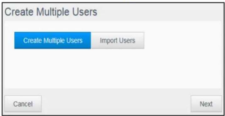 WESTERN DIGITAL My Cloud Mirror WDBWVZ0160JWT - Adding Multiple Users - 2