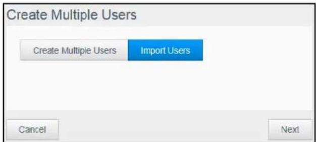 WESTERN DIGITAL My Cloud Mirror WDBWVZ0160JWT - Import Multiple Users - 1