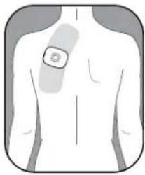 OMRON Avail PM601 - GET STARTED WITH YOUR THERAPY - 2