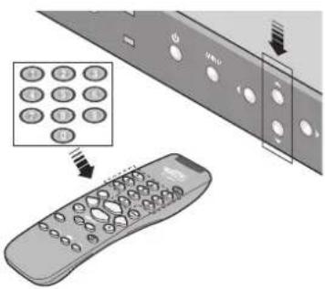 Sim2 Domino 55M - STAND BY - 1