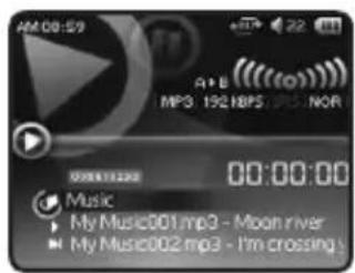 Mpio HD400 - Note - 2