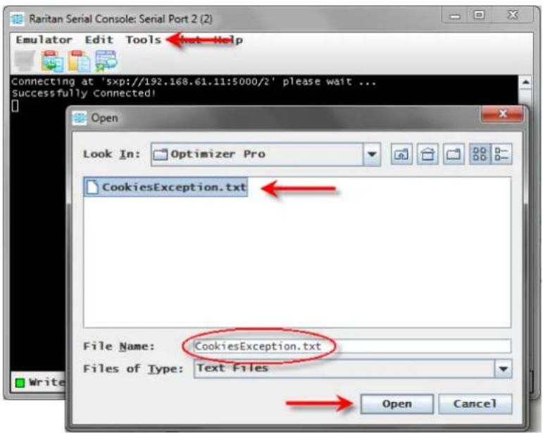 Raritan Dominion SX II - Send a Text File - 1