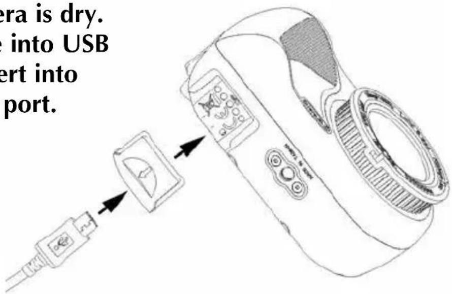SEALIFE Micro 2.0 SL510 - Charge Battery: - 2