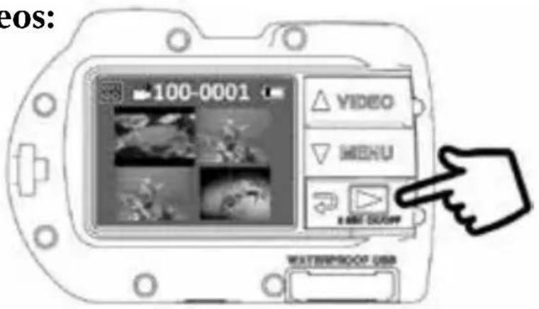 SEALIFE Micro 2.0 SL510 - Playback Pictures and Videos: - 1