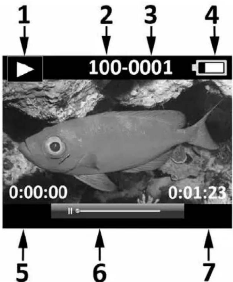 SEALIFE Micro 2.0 SL510 - LCD Display: - 1