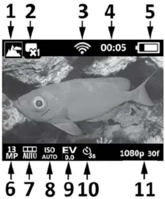 SEALIFE Micro HD+ SL505 - Capture Mode - 1