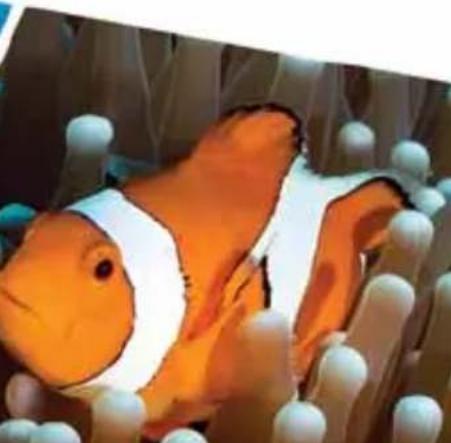 SEALIFE Micro HD+ SL505 - Micro HD+ - 3