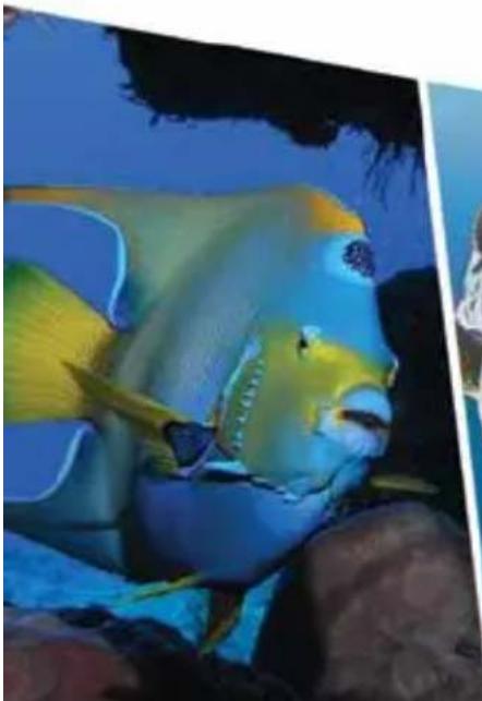 SEALIFE Micro HD+ SL505 - Micro HD+ - 1