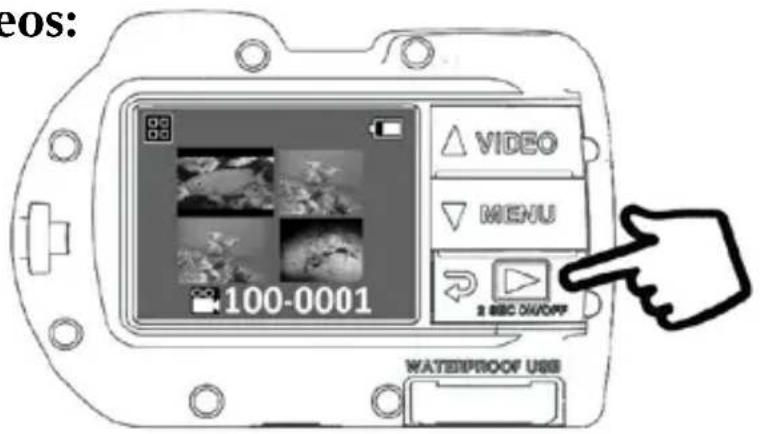 SEALIFE Micro HD+ SL505 - Playback Pictures and Videos: - 1