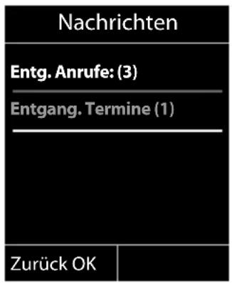 SIEMENS C610H - Hinweis - 1