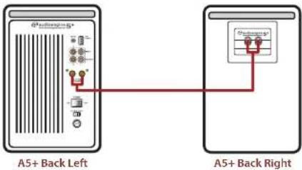 AUDIOENGINE A5 - Step 2 - Connecting the Speaker Wire - 3
