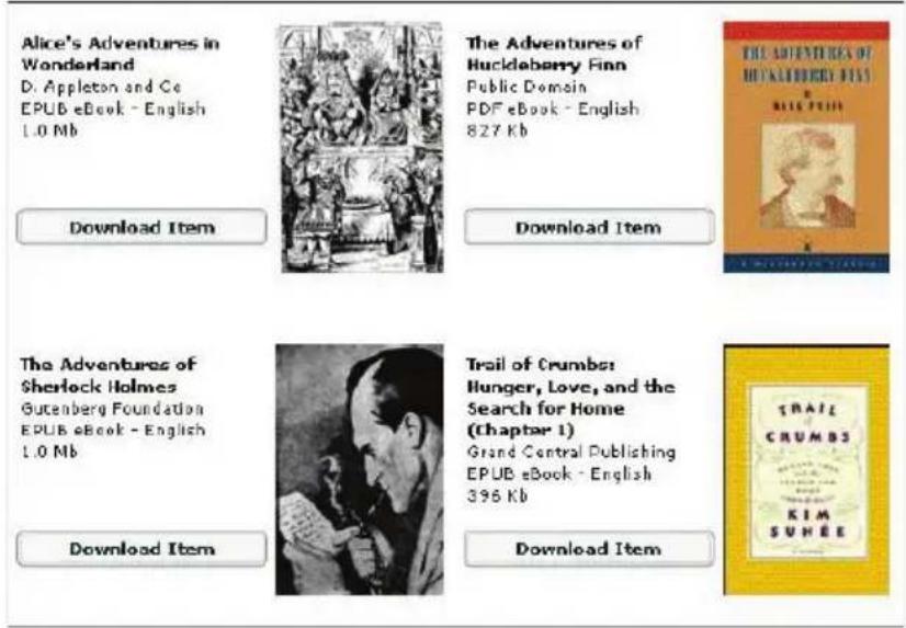 Odys Mira - DRM-geschützte E-Books mit Adobe Digital Edition herunterladen - 4