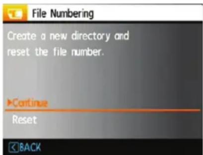 File Numbering Create a new directory and reset the file number. ►Continue Reset BACK