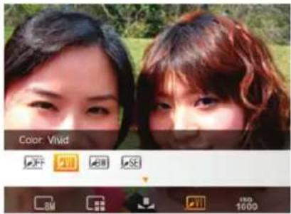 Color: Vivid 8M 1000