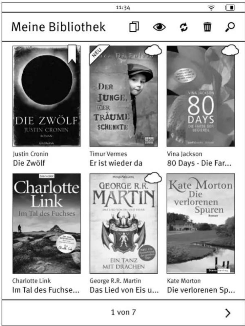 Tolino Vision - Dateiformate der Titel - 1