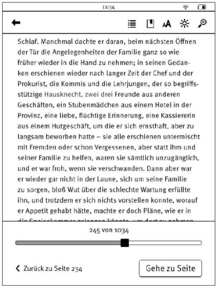 Tolino Vision - Ihre Lese-Einstellungen - 1