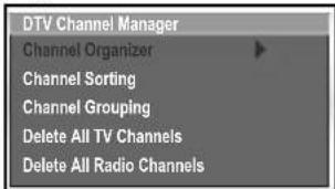 HANNSPREE HT11 - Adjusting DTV Settings (Digital TV) - 2