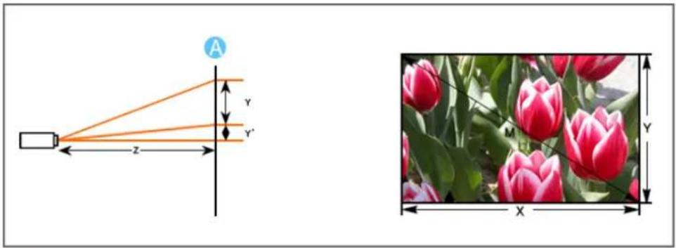 Diagram showing a laser beam projecting to an object with labeled dimensions (z, y, x) and a close-up of pink tulips in the background.
