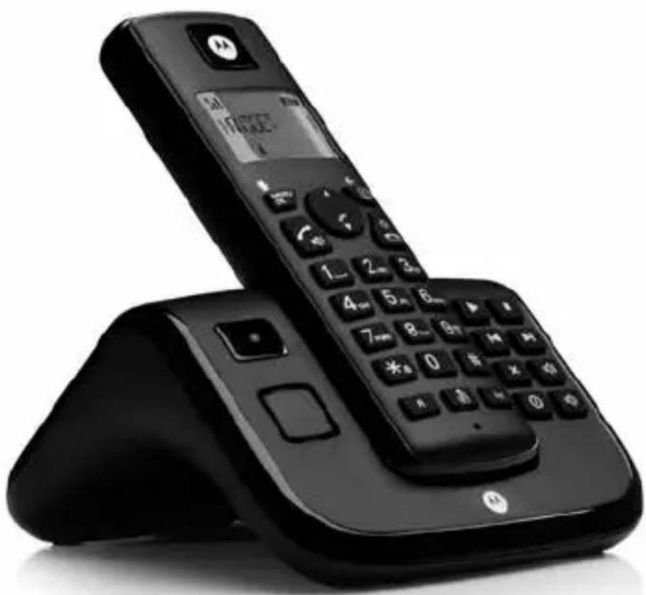 ZEBRA T211 - 1