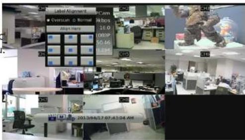 D-LINK DNR-2060-08P - Camera Title Alignment - 1