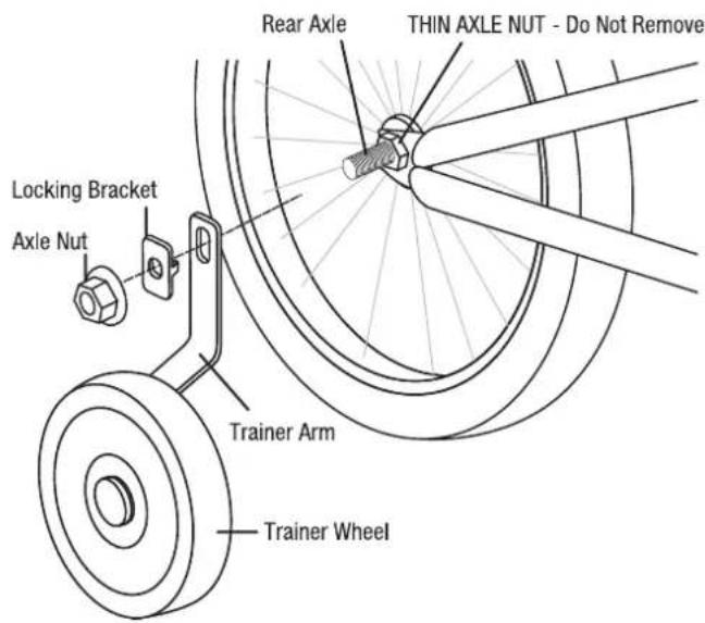 Kent Cupcake - TRAINING WHEELS - 1