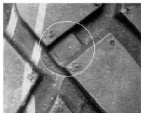 Genuine Roughhouse 50 - Tires - 2