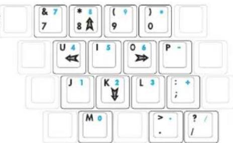 ASUS F3F - Keyboard as Cursors - 1