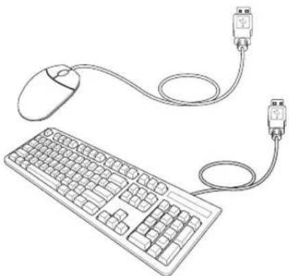 ASUS F3F - USB Keyboard and Mouse - 2