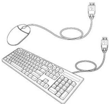 ASUS W5F - USB Keyboard and Mouse - 2