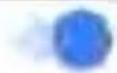 NetAlly LinkRunner 10G - Link-Live Sharing Screens - 1