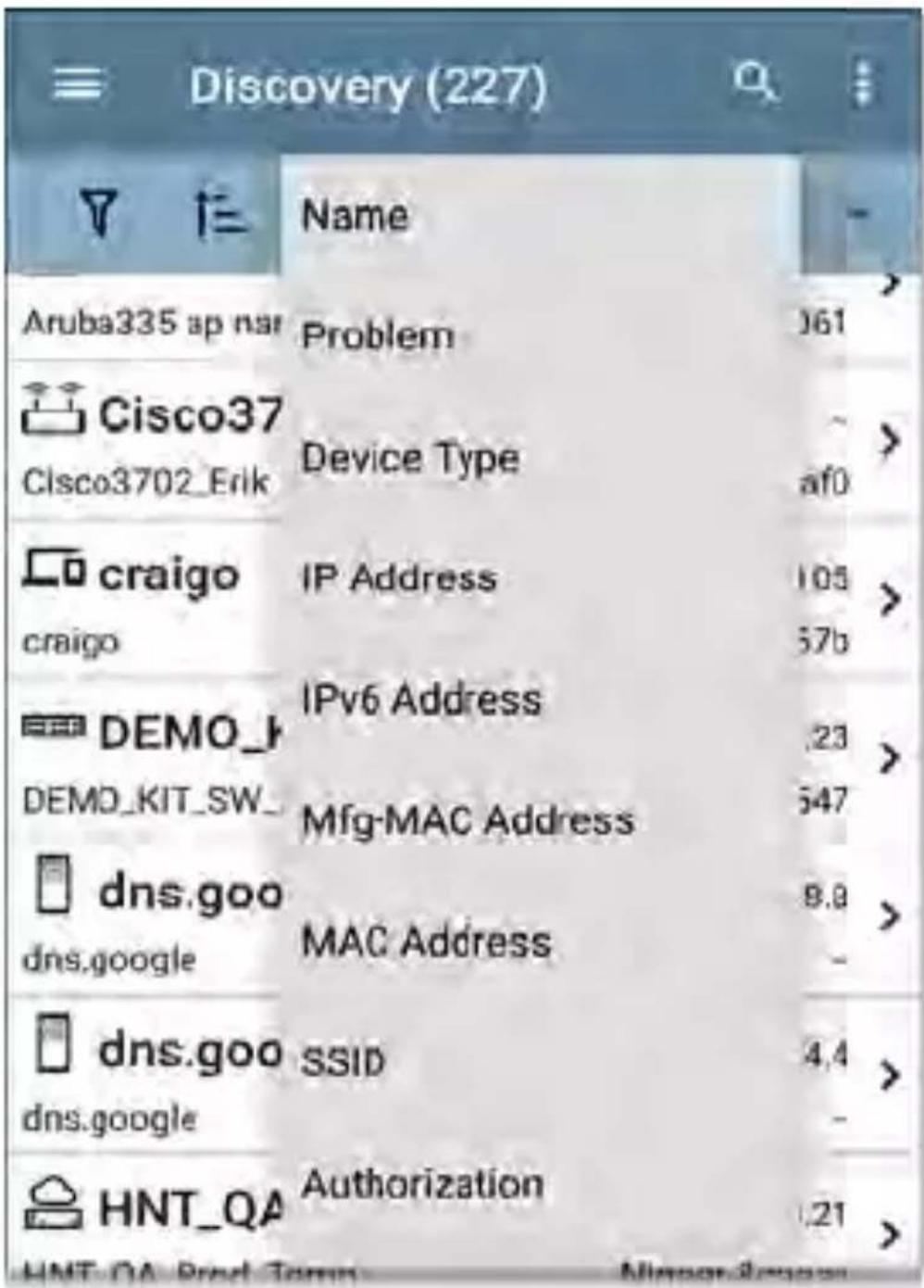 NetAlly LinkRunner 10G - Sorting the Discovery List - 1