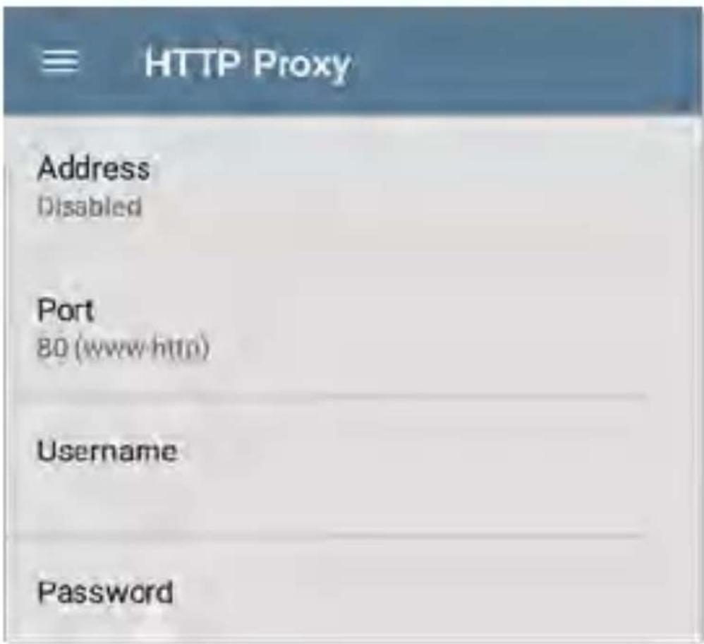 NetAlly LinkRunner 10G - HTTP Proxy - 1