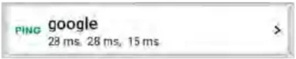 NetAlly LinkRunner 10G - Ping Test Results - 1