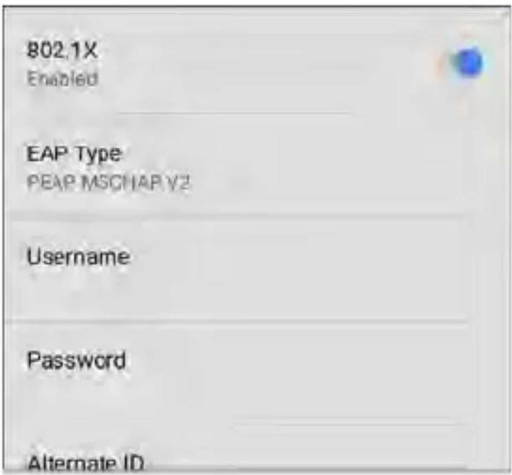 NetAlly LinkRunner 10G - 802.1X - 1