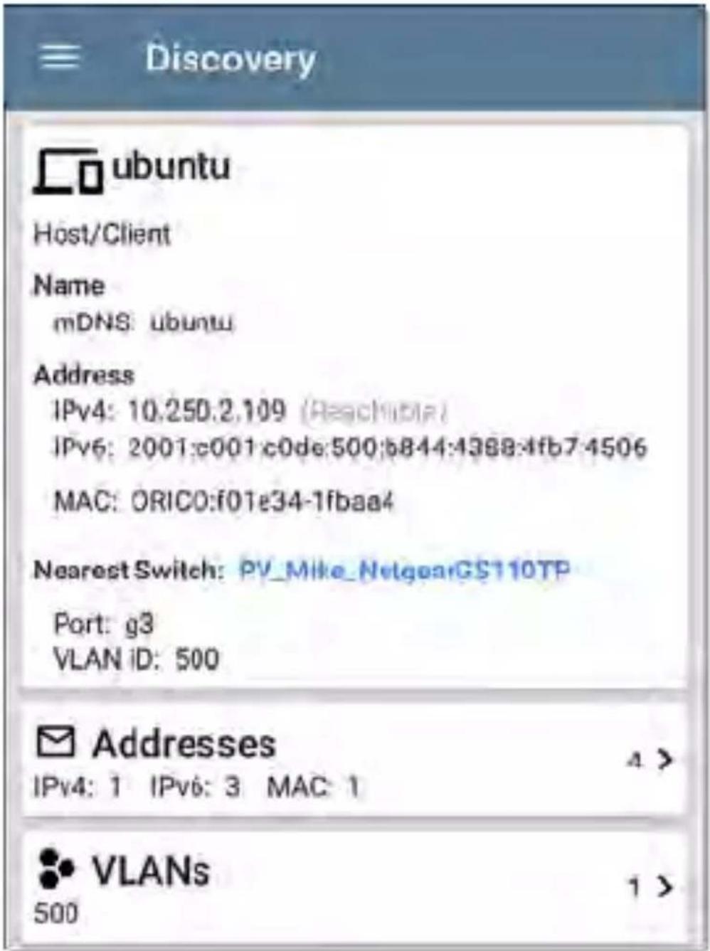 NetAlly LinkRunner 10G - Hosts/Clients - 1