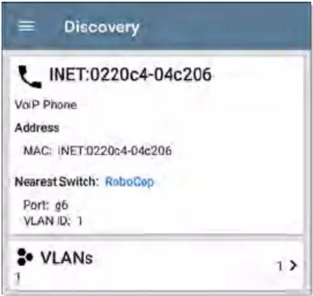 NetAlly LinkRunner 10G - VoIP Phones - 1