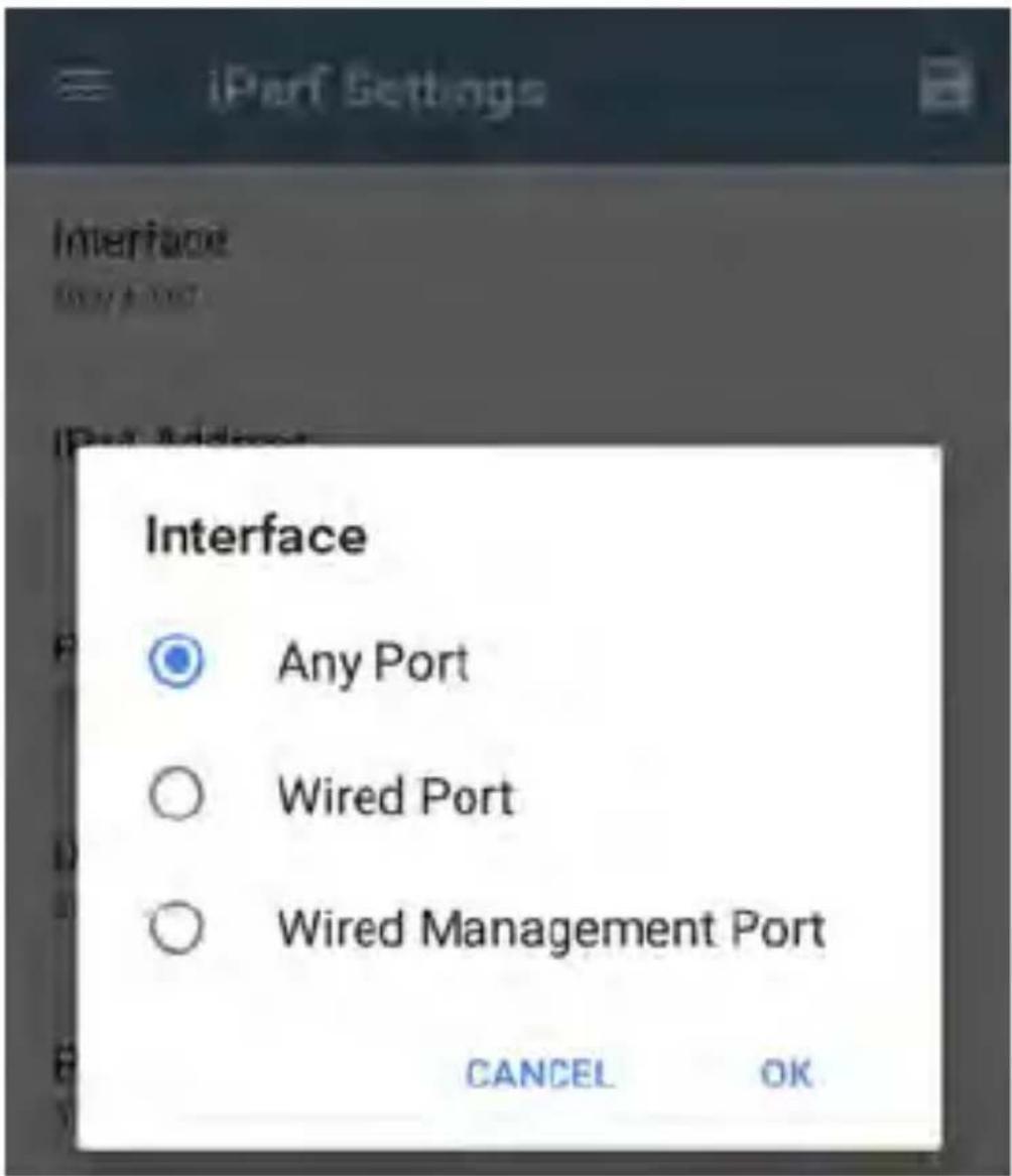 NetAlly LinkRunner 10G - Configuring the Ports - 2