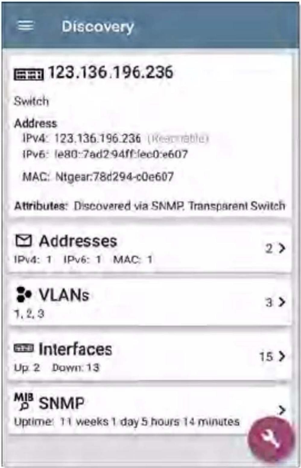 NetAlly LinkRunner 10G - Discovery Details Screens - 2