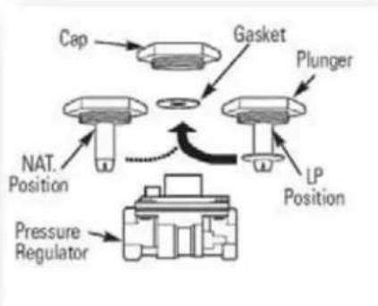 LYNX Professional LSB2-2 - CONVERTING FOR FUEL TYPE - 1